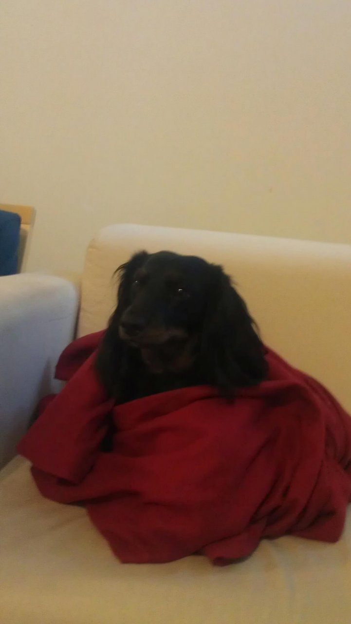 IMAG0238-1.jpg