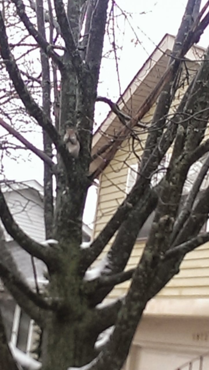 IMAG0452.jpg