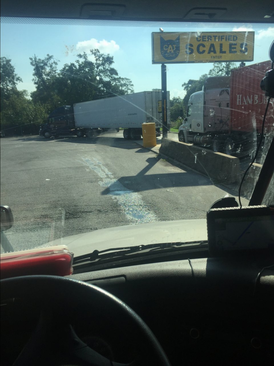 image.jpeg
