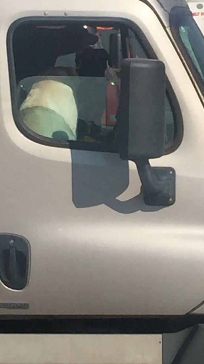 image.jpeg
