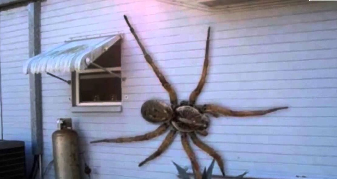 image.jpeg