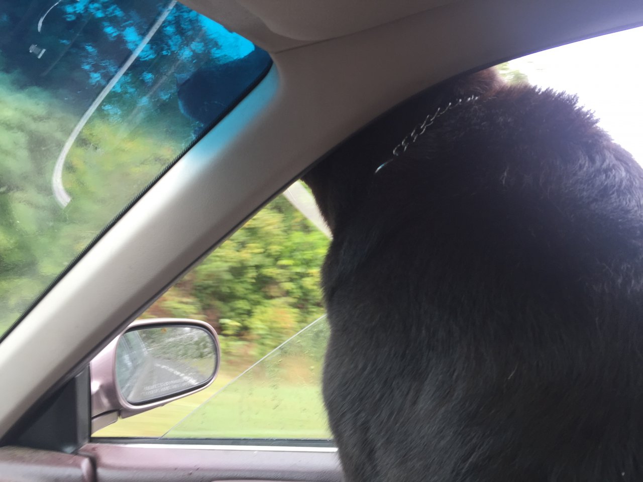 image.jpeg