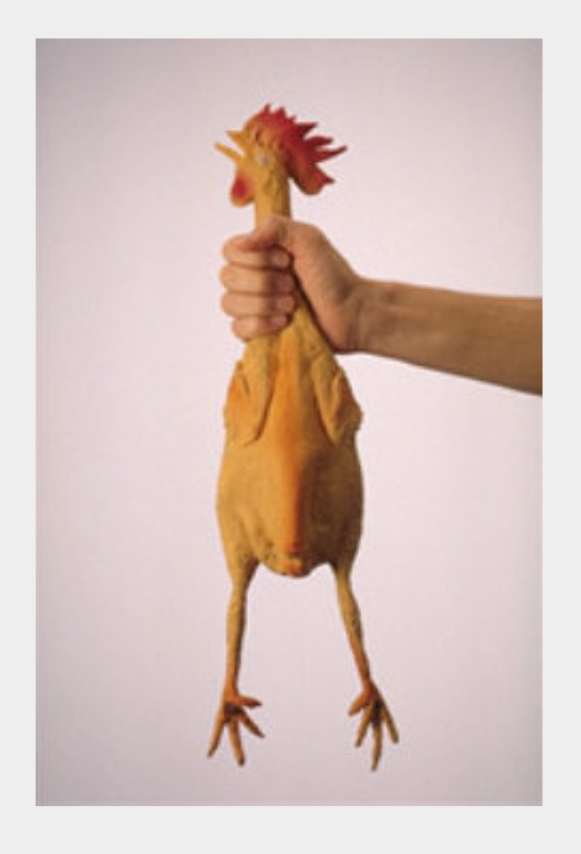 image.jpeg