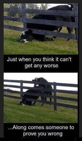 image.jpeg