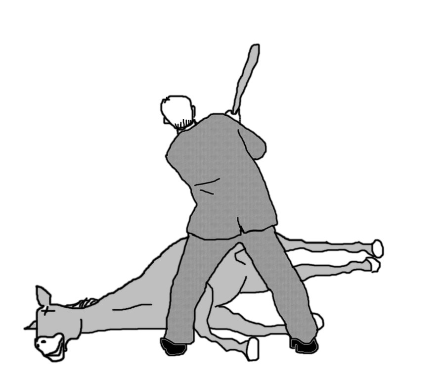 image.jpeg