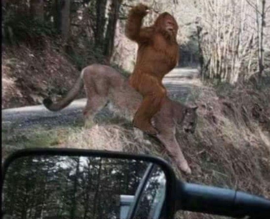 image.jpeg