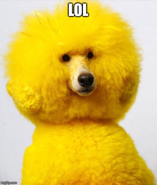 image.jpeg