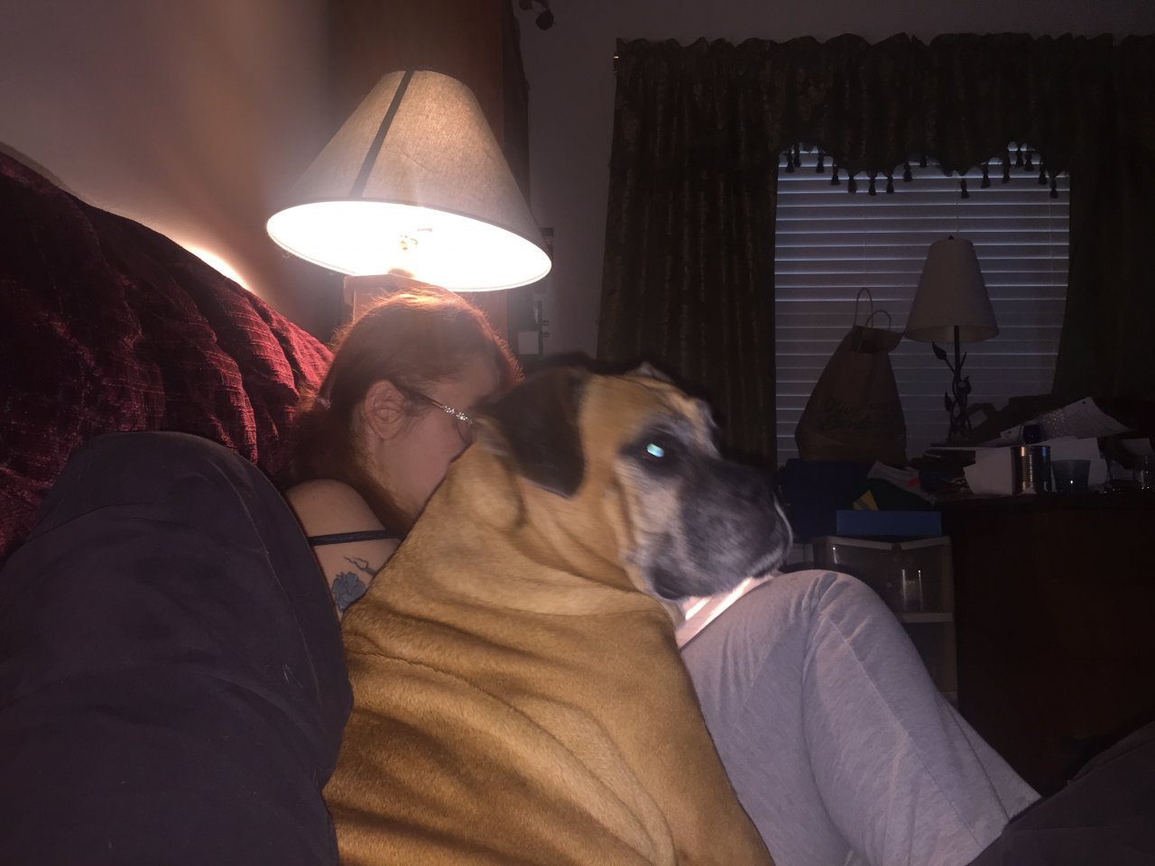 image.jpg