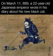 images (11).jpeg