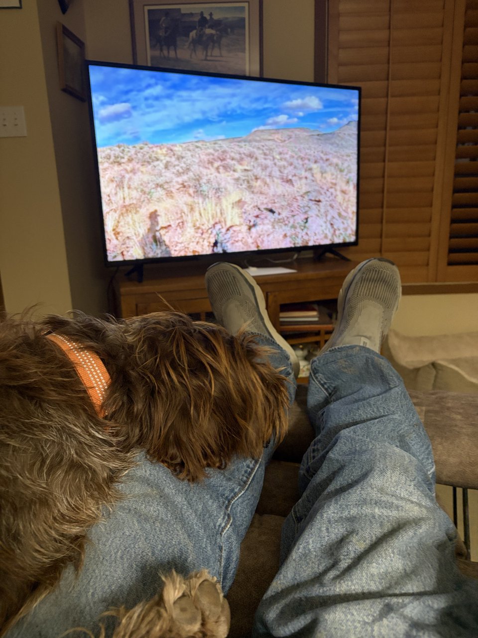IMG_0032.jpeg
