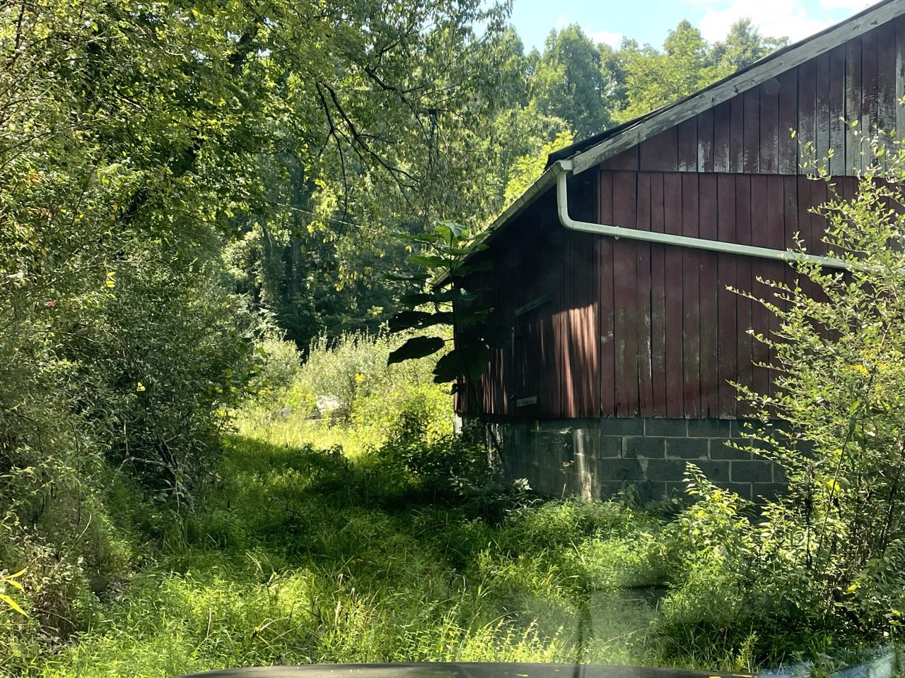 IMG_0035.jpeg