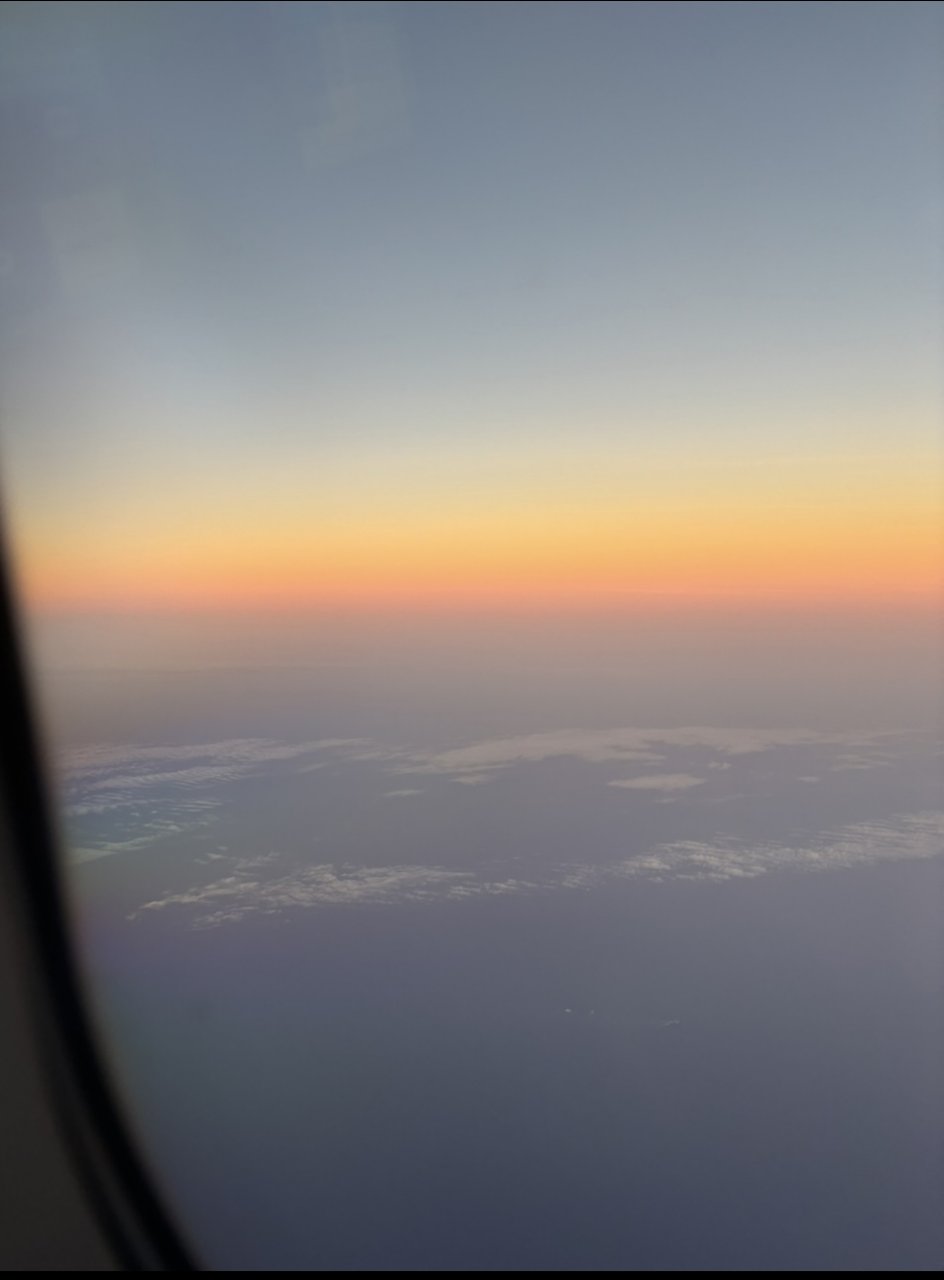 IMG_0203.jpeg