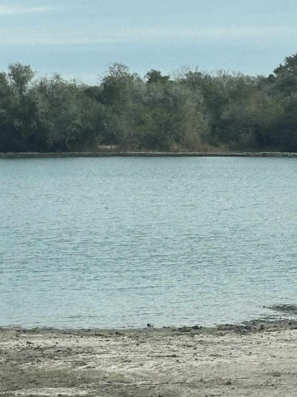 IMG_0280.jpeg