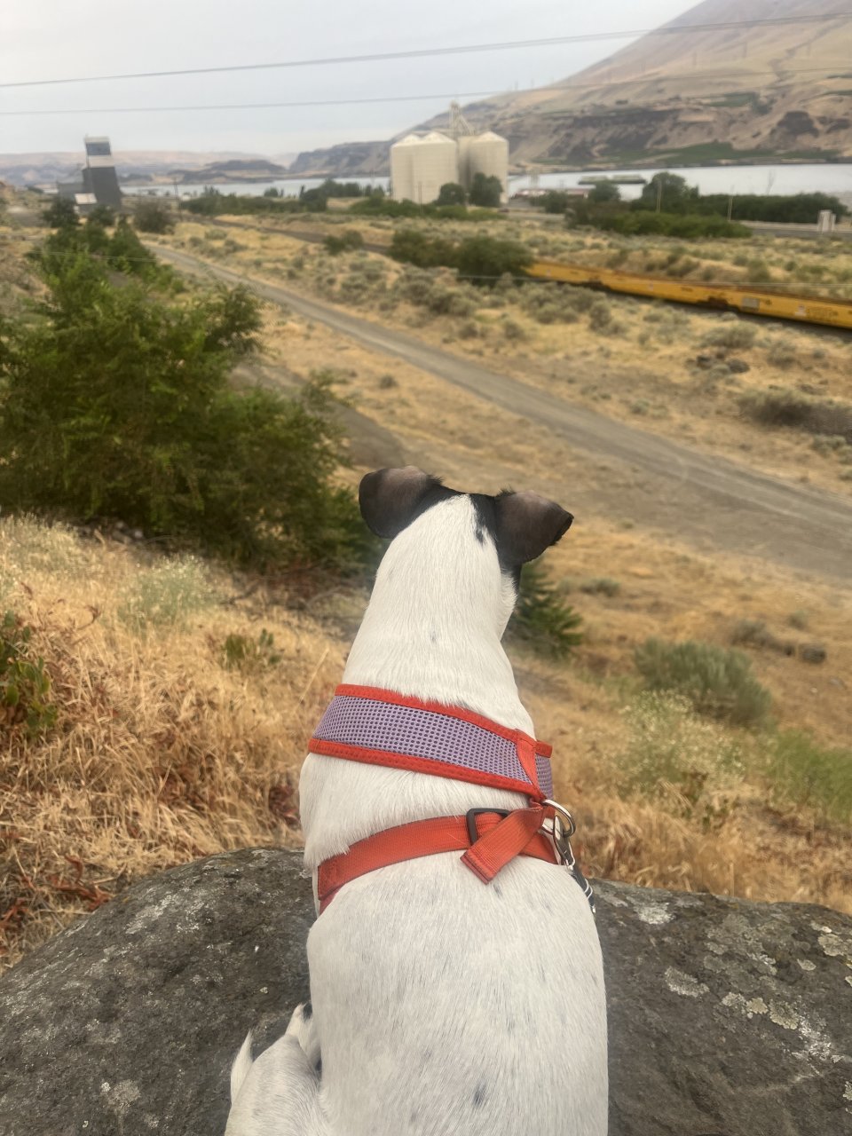 IMG_0329.jpeg
