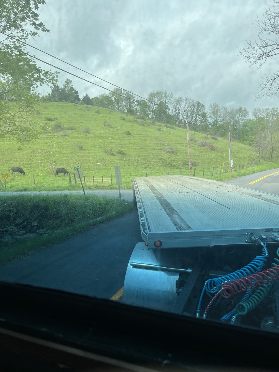IMG_0367.jpeg