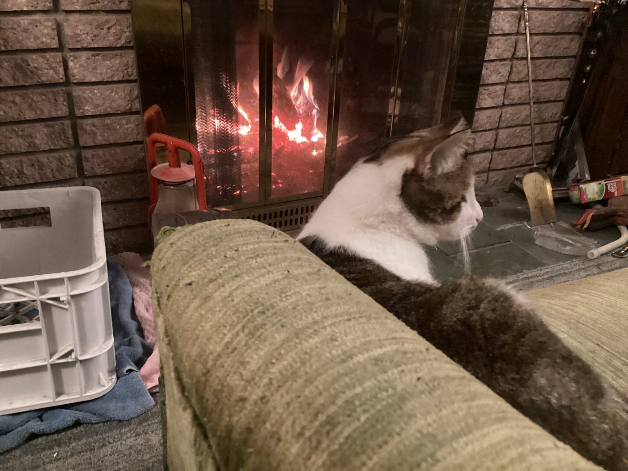 IMG_0410.jpeg