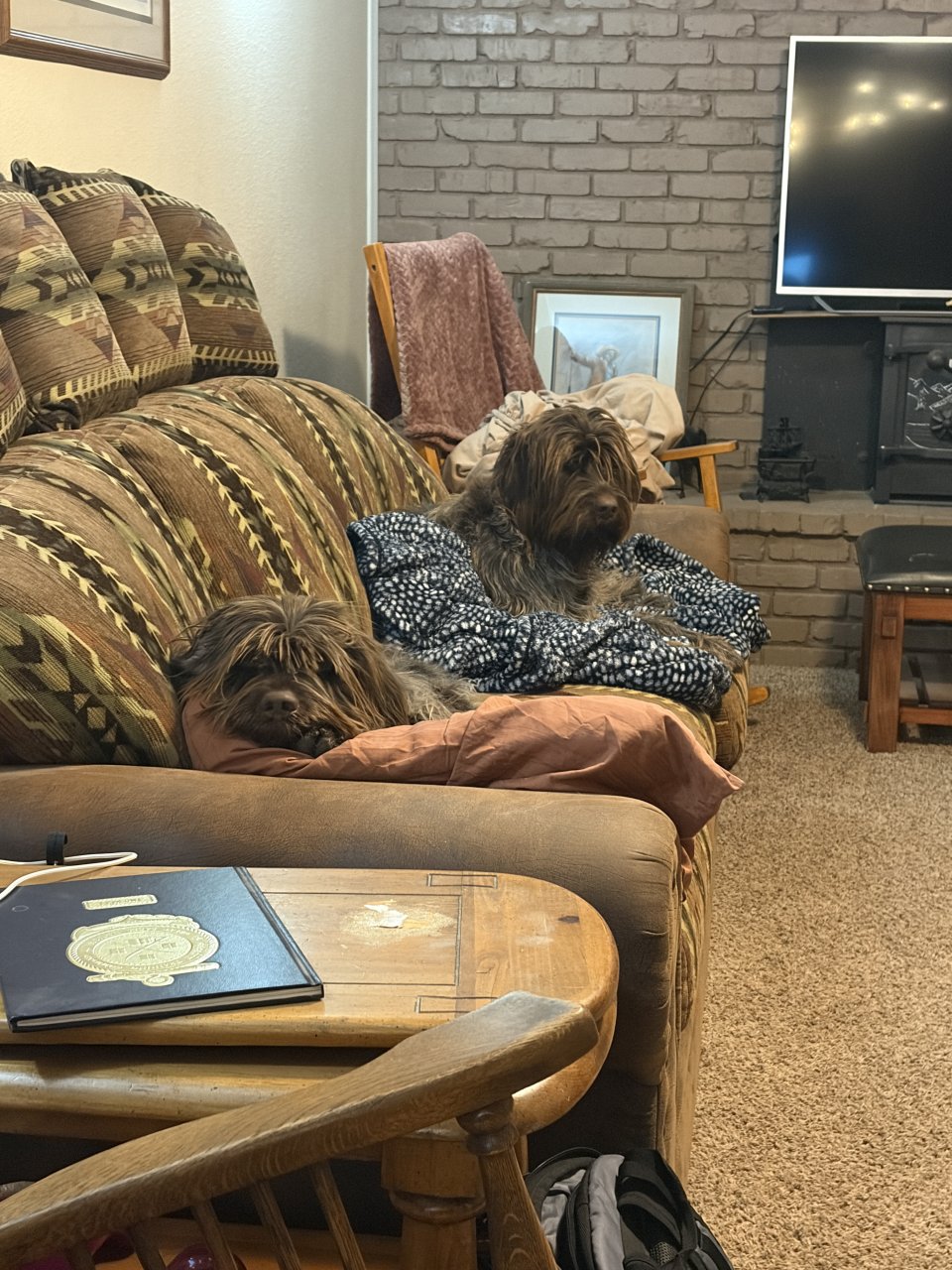 IMG_0485.jpeg