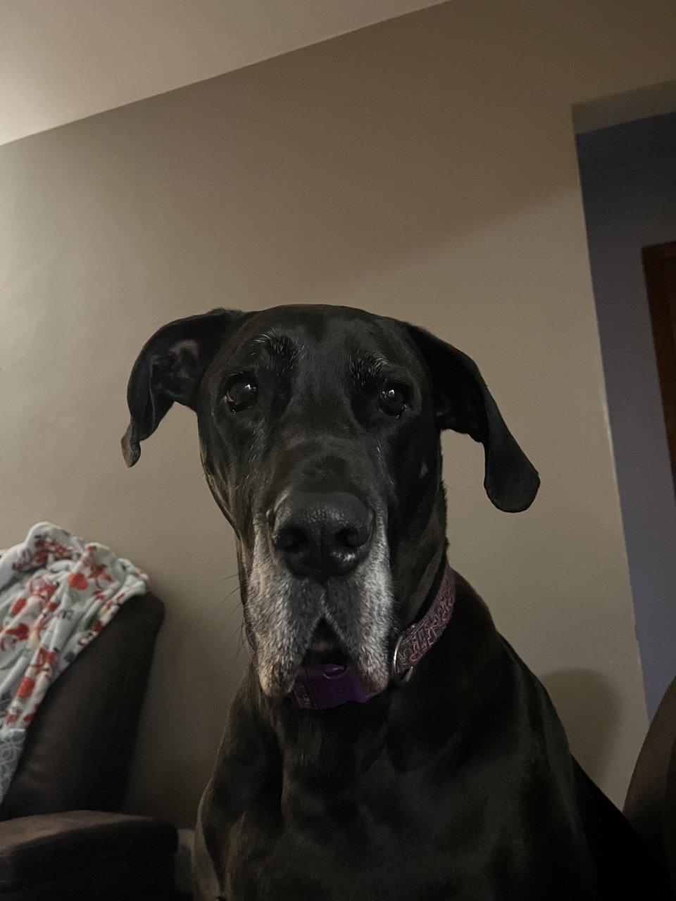 IMG_0603.jpeg