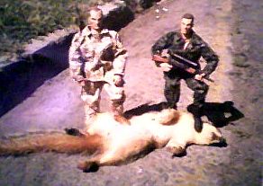 IMG_0679.jpeg