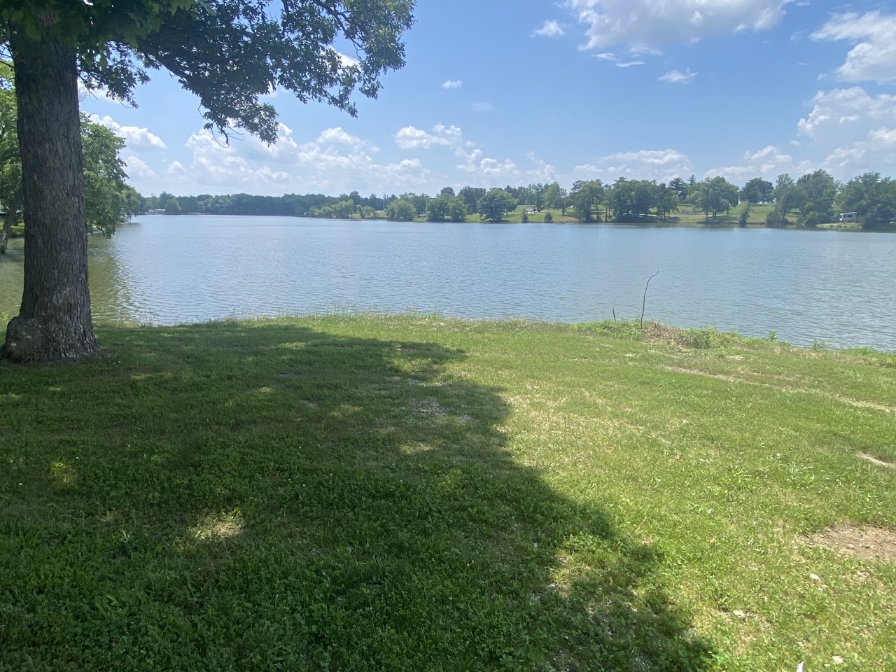 IMG_0716.jpeg