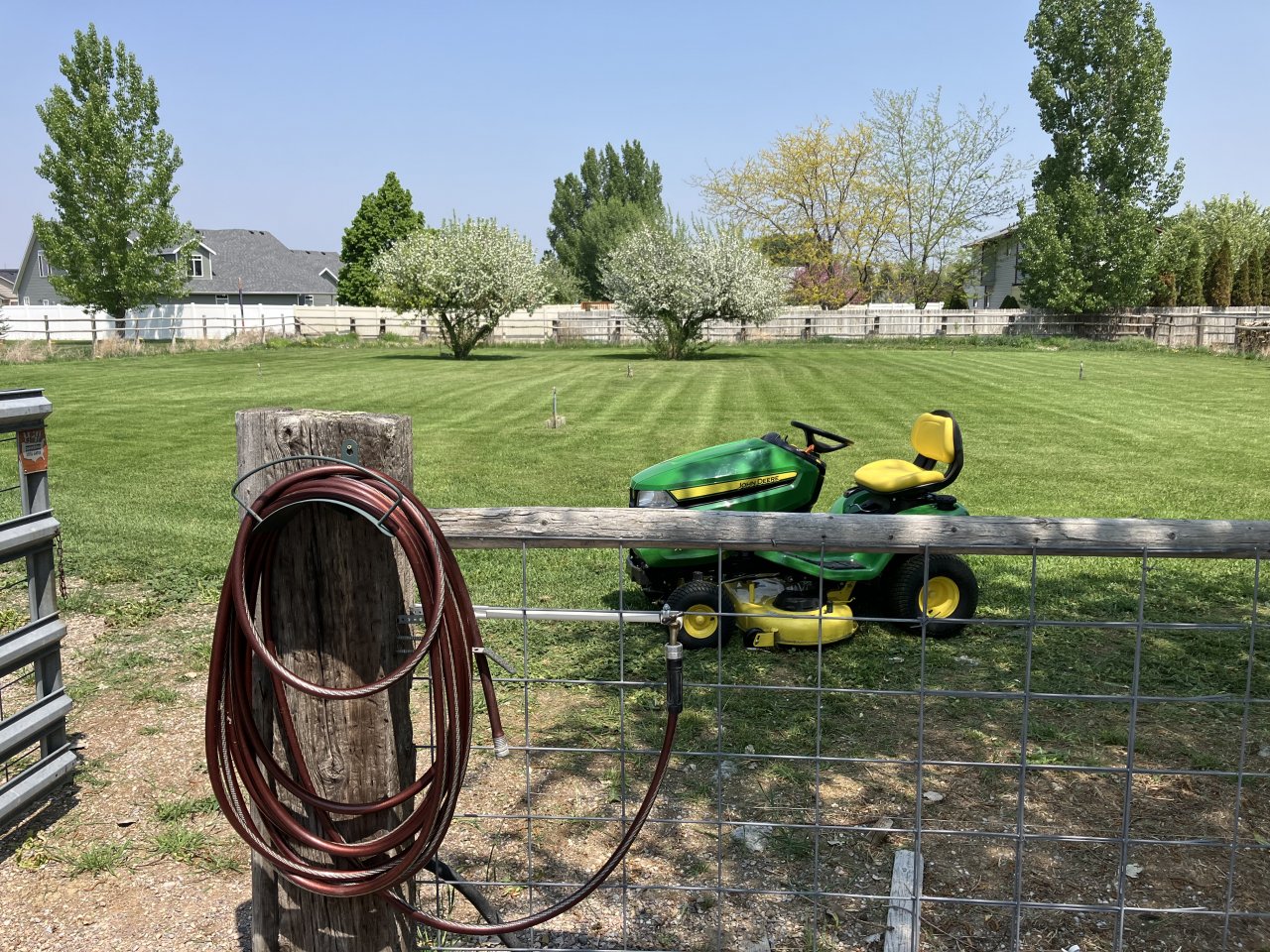 IMG_0797.jpeg