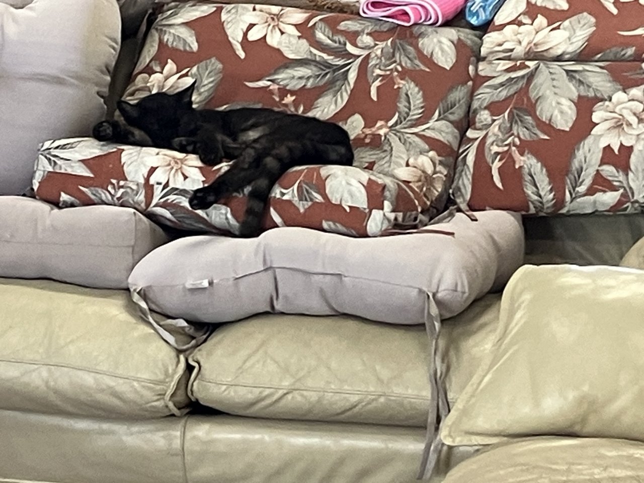 IMG_0799.jpeg