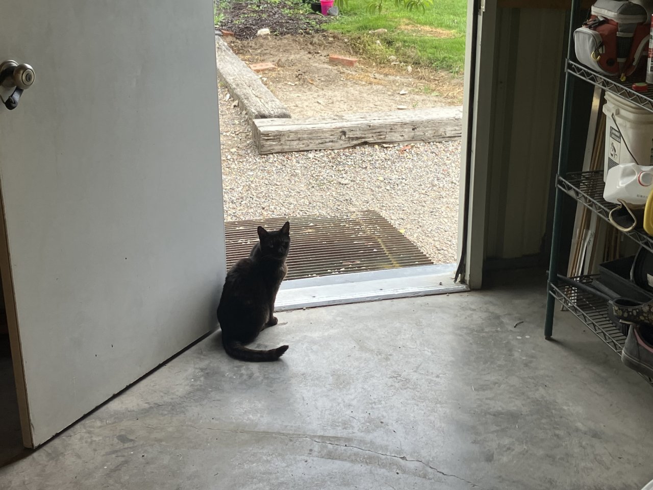 IMG_0972.jpeg