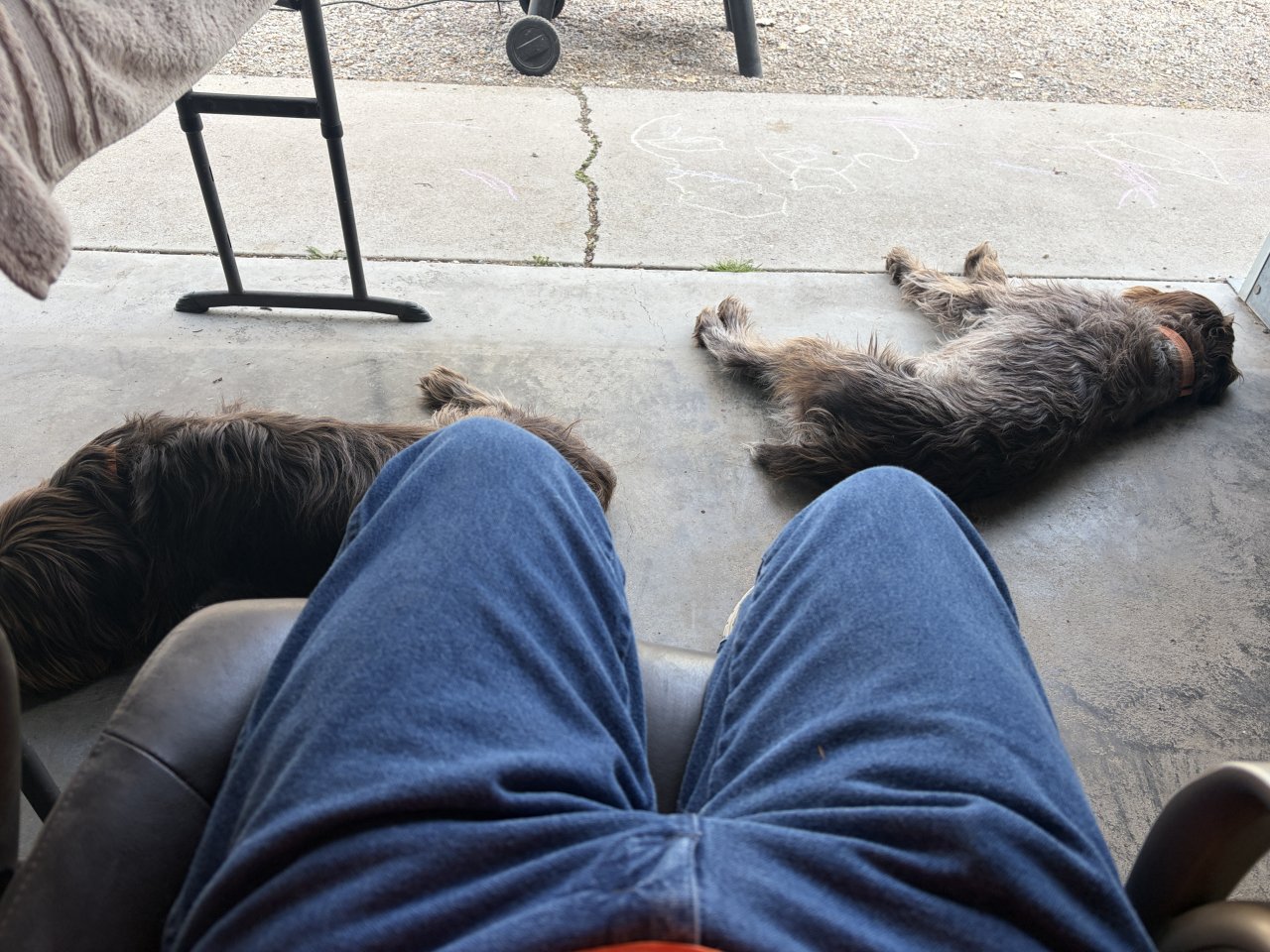 IMG_0989.jpeg