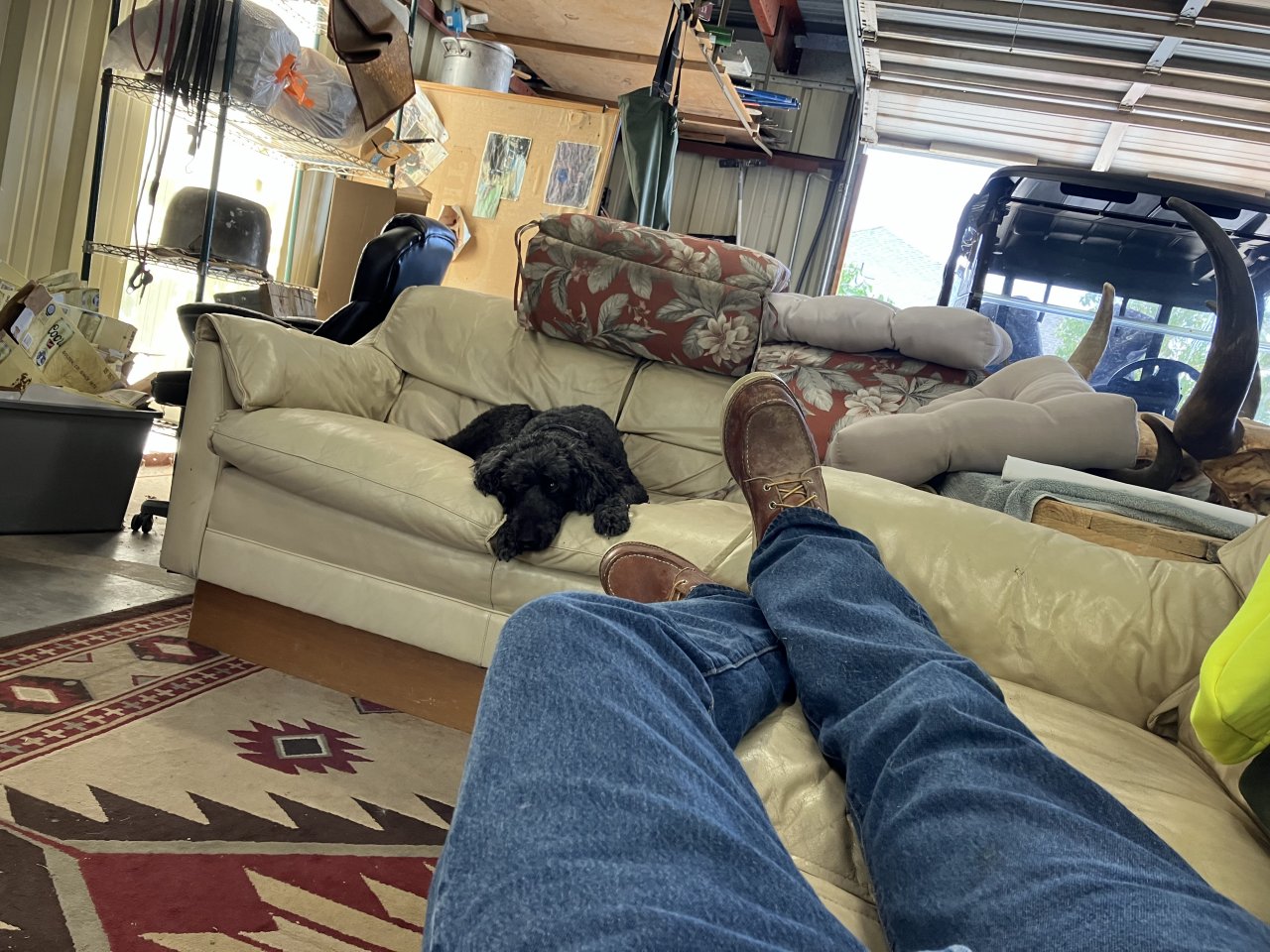 IMG_1350.jpeg