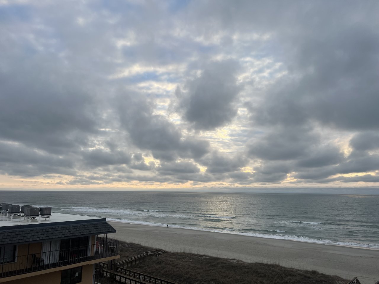 IMG_1442.jpeg