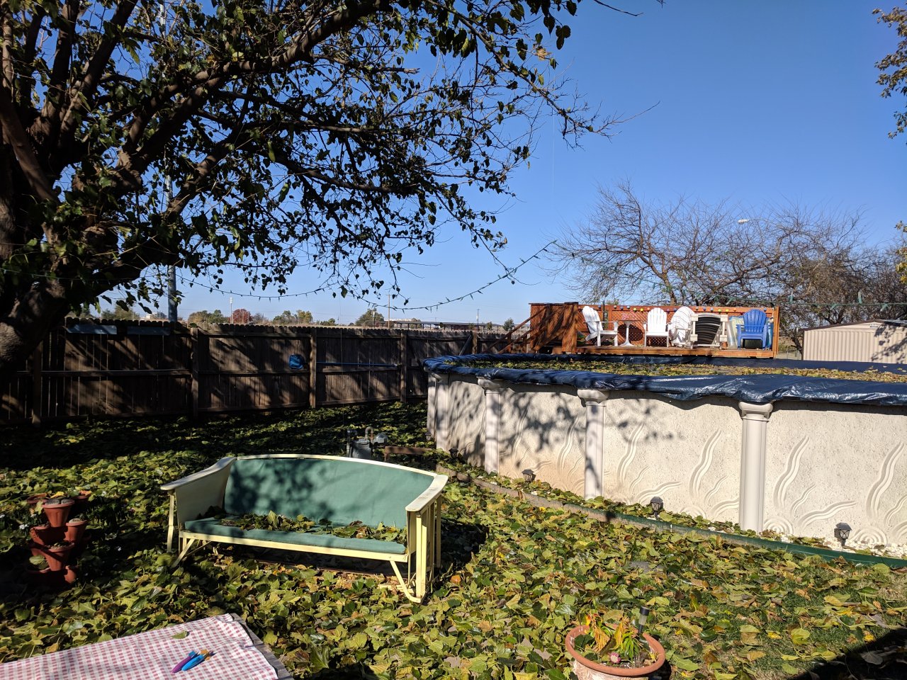 IMG_20181110_103717.jpg