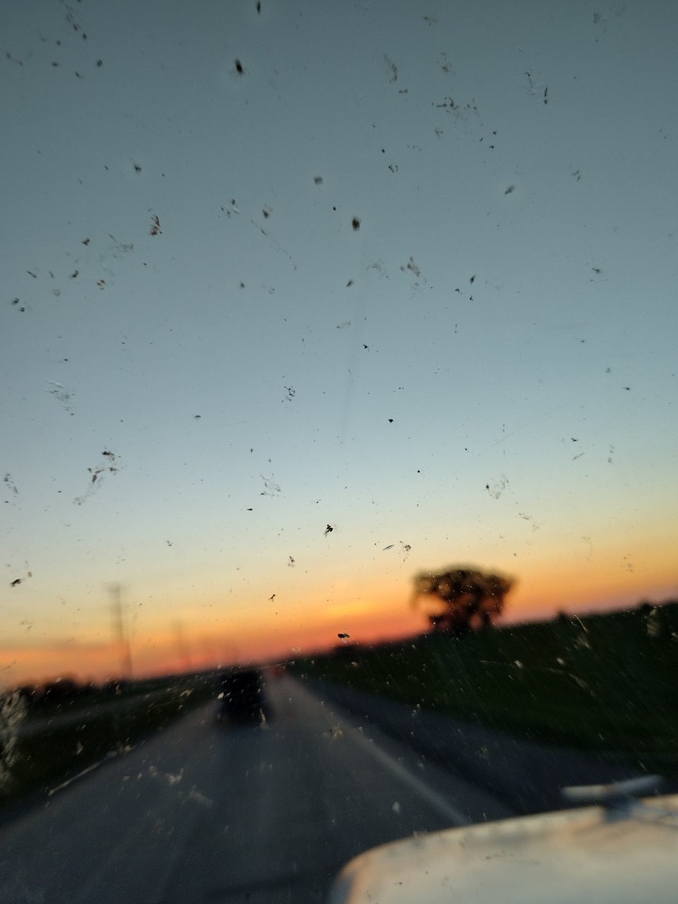 IMG_20220616_212852866_HDR.jpg
