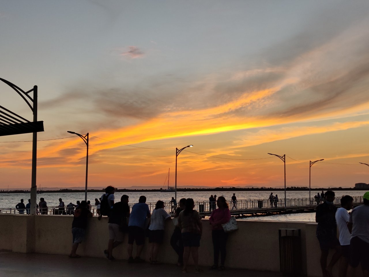 IMG_20220725_201310.jpg