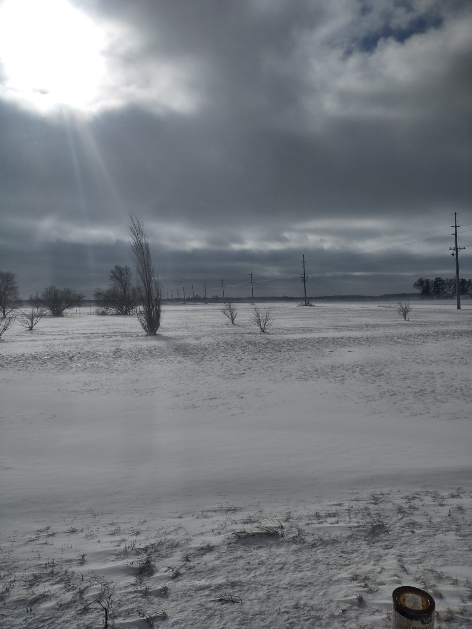 IMG_20240113_112448932_HDR.jpg