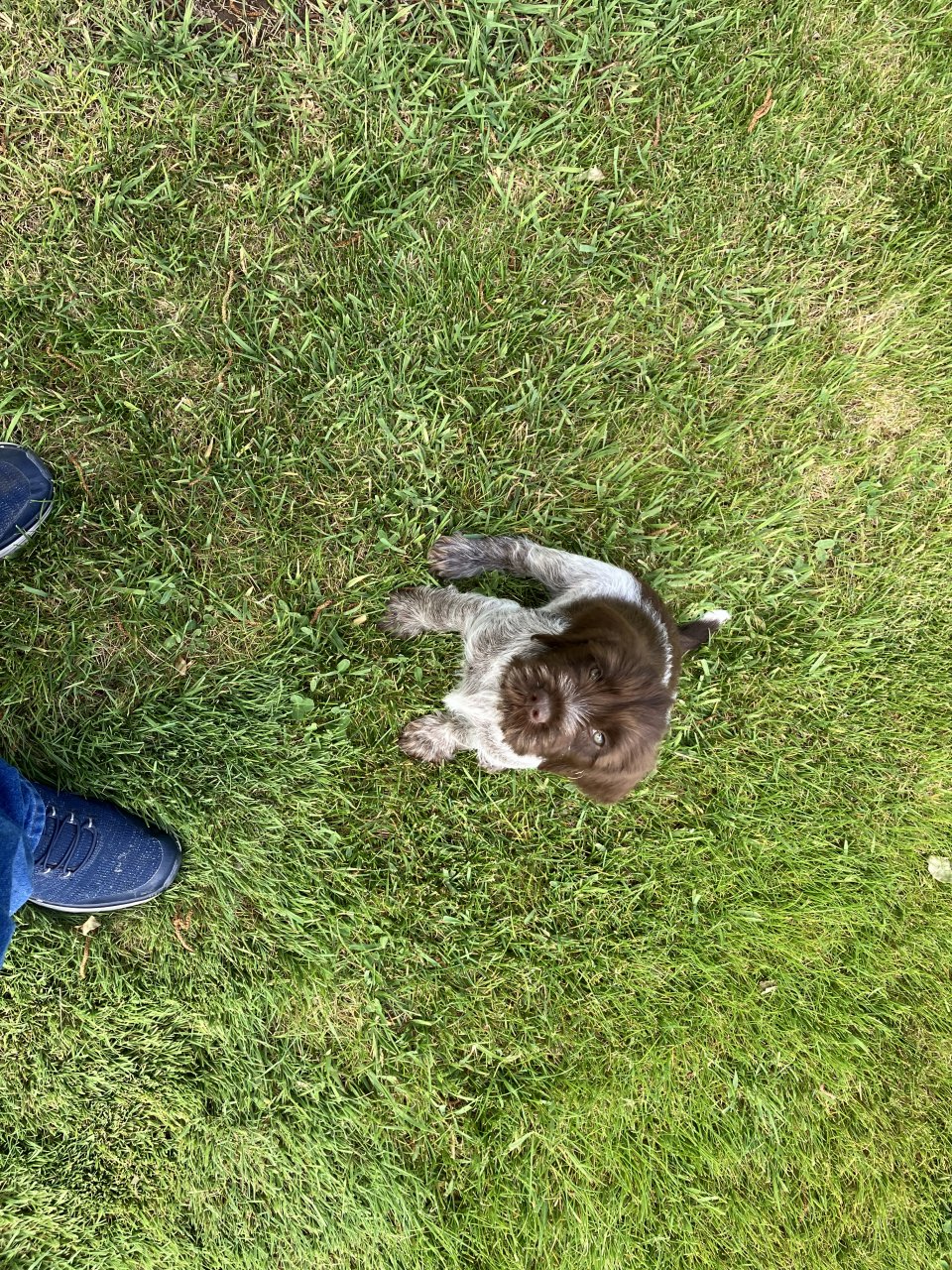 IMG_2070.jpeg