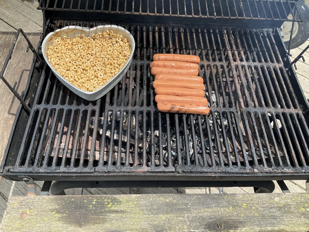 IMG_2206.jpeg