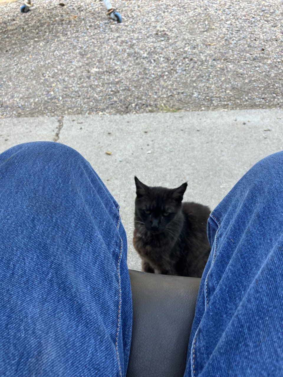 IMG_2455.jpeg