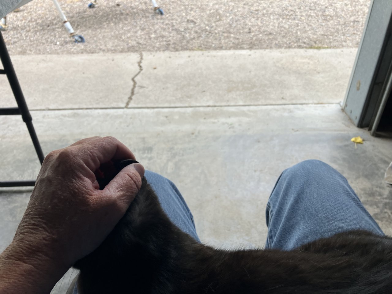 IMG_2457.jpeg