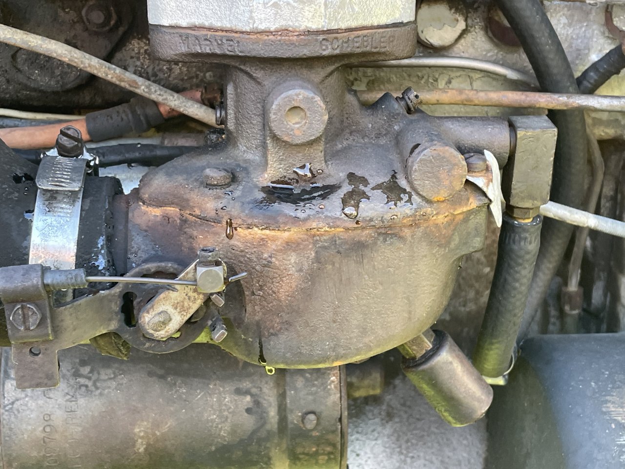 IMG_2547.jpeg
