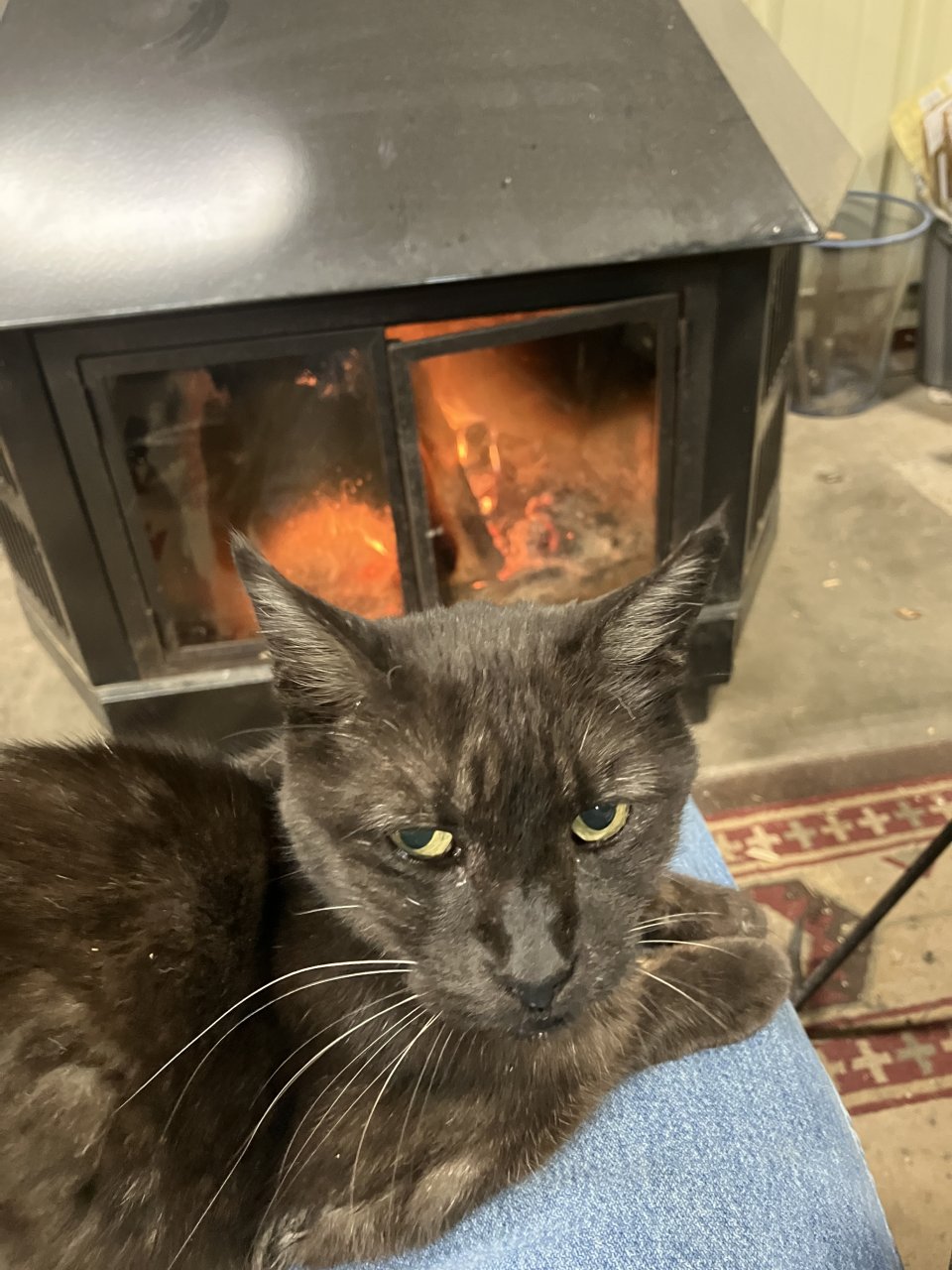 IMG_2960.jpeg