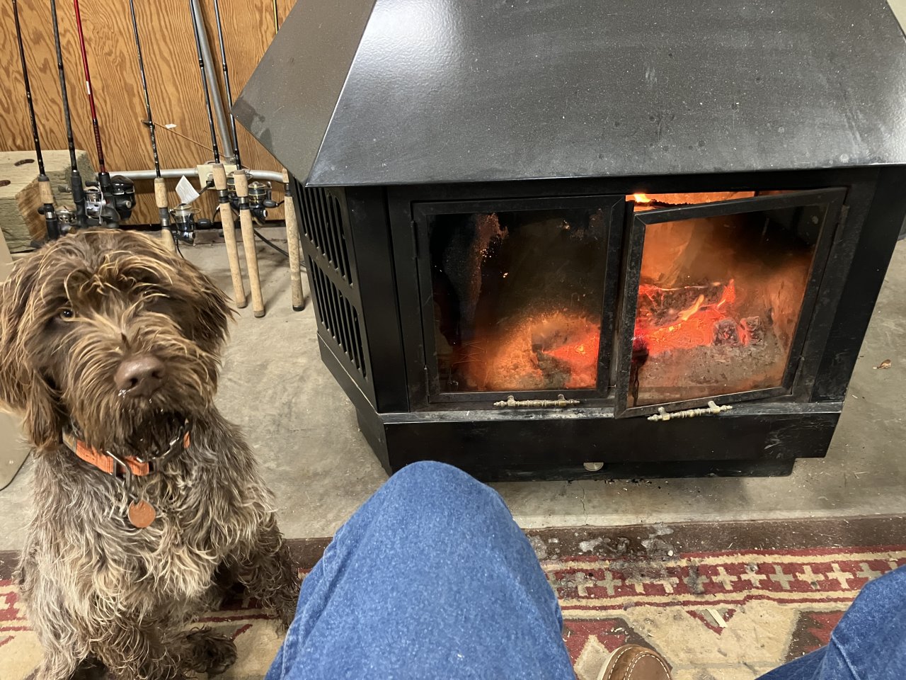 IMG_2961.jpeg