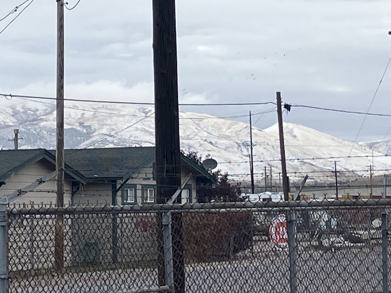 IMG_2964.jpeg