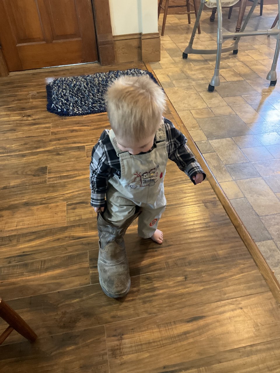 IMG_3006.jpeg