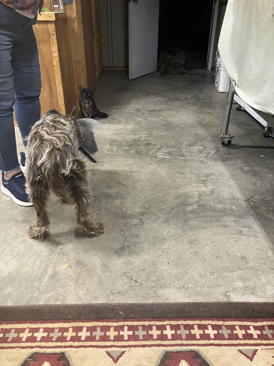 IMG_3059.jpeg