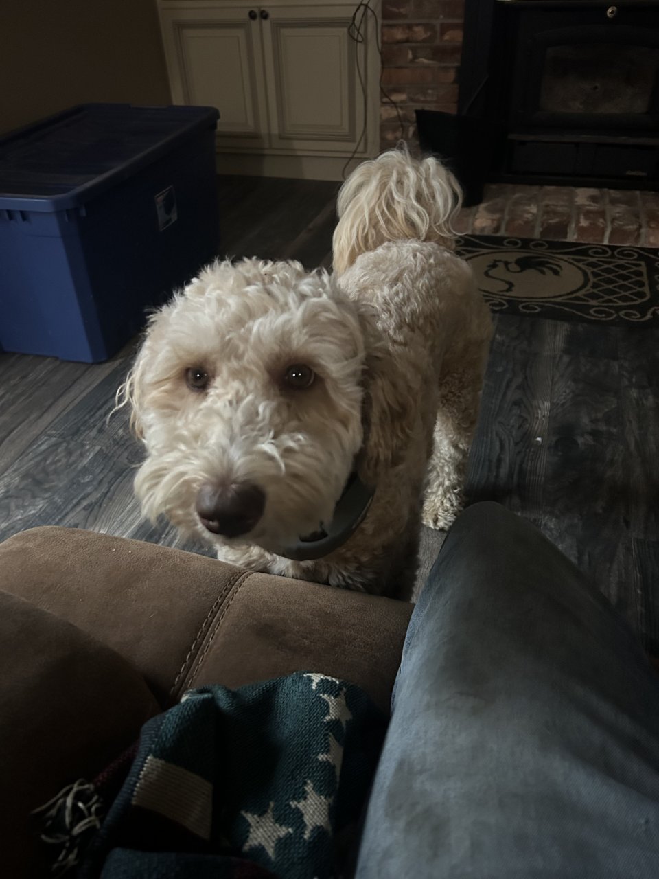 IMG_3147.jpeg