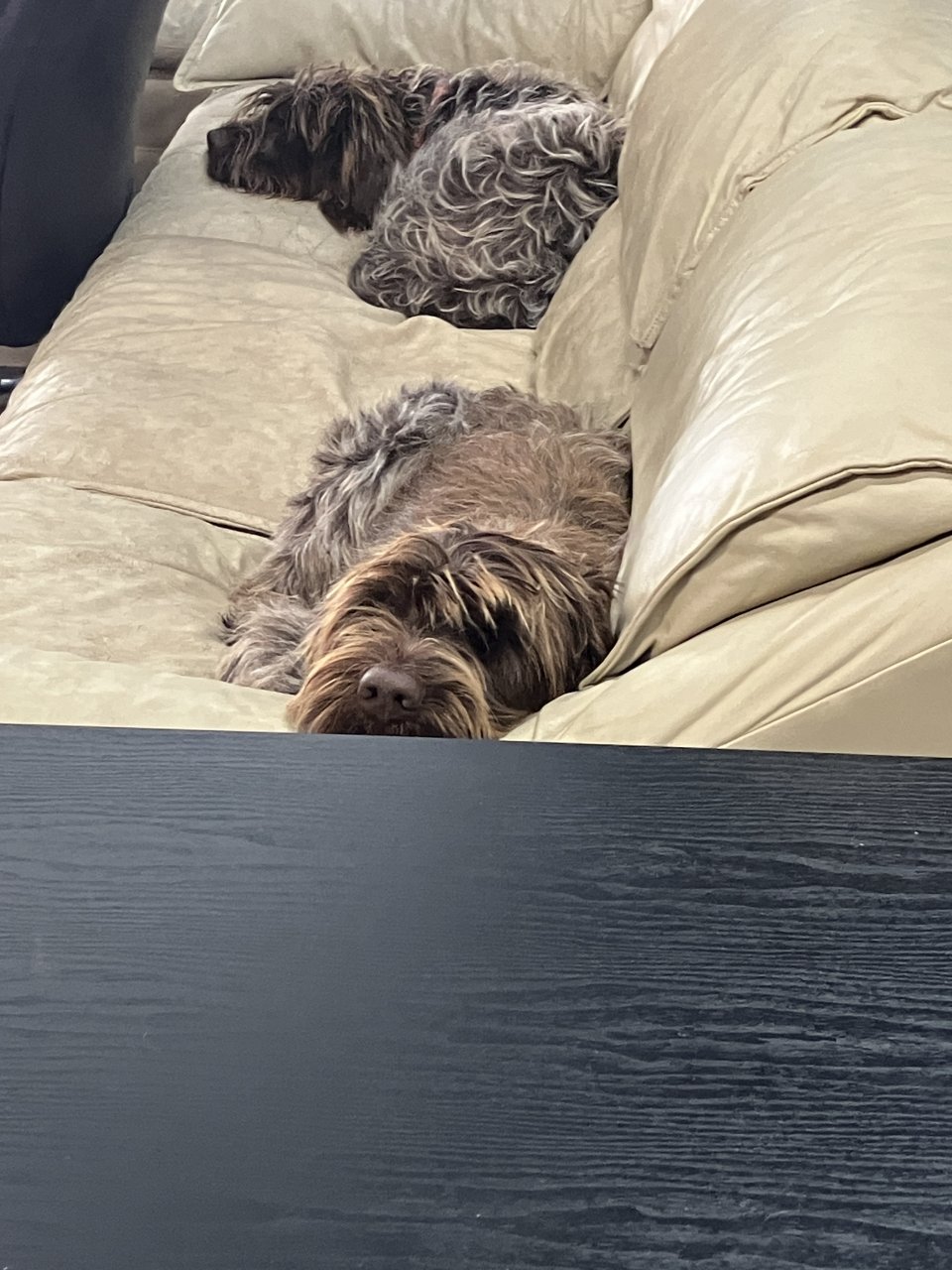 IMG_3301.jpeg