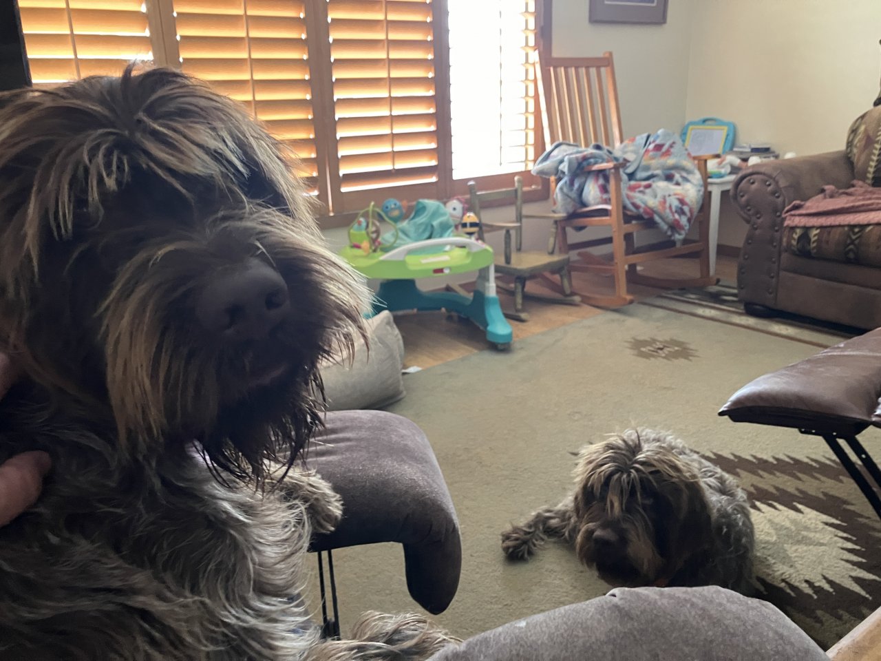 IMG_3361.jpeg