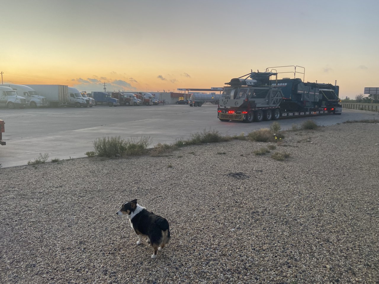 IMG_3866.jpeg