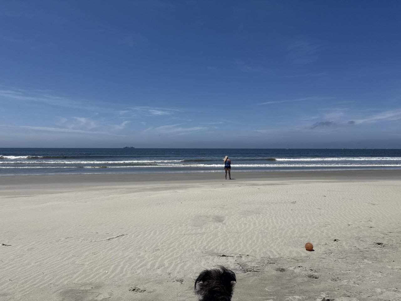 IMG_4047.jpeg