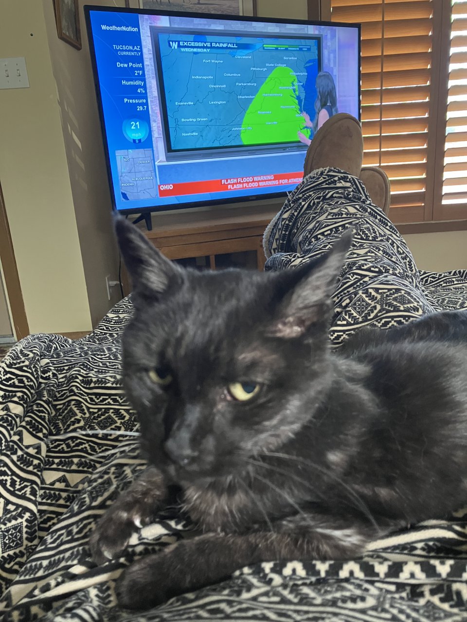 IMG_4068.jpeg